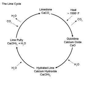 lime-cycle